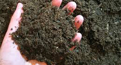 粉狀有機(jī)肥